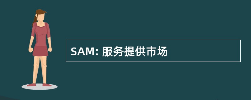 SAM: 服务提供市场