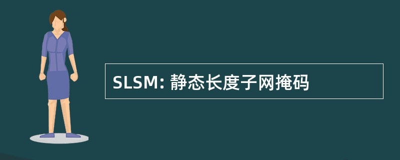 SLSM: 静态长度子网掩码