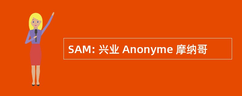 SAM: 兴业 Anonyme 摩纳哥