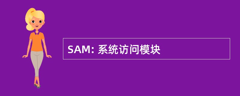 SAM: 系统访问模块