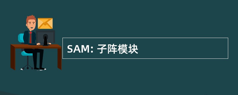 SAM: 子阵模块