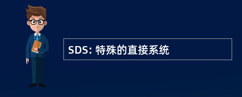 SDS: 特殊的直接系统