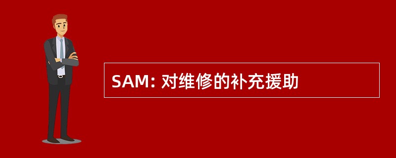 SAM: 对维修的补充援助