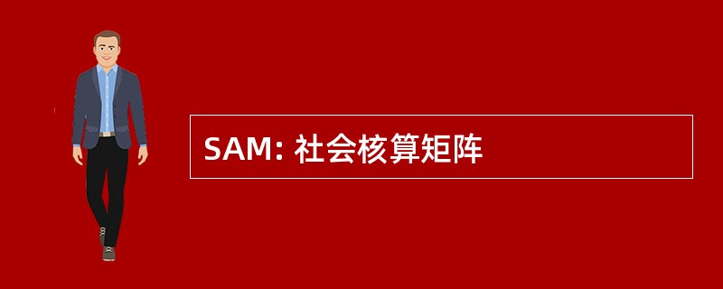 SAM: 社会核算矩阵