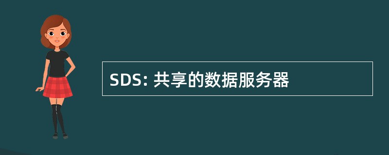 SDS: 共享的数据服务器