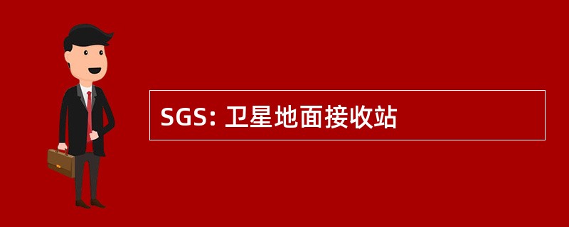 SGS: 卫星地面接收站