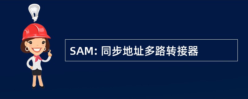 SAM: 同步地址多路转接器