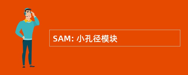 SAM: 小孔径模块