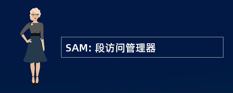 SAM: 段访问管理器