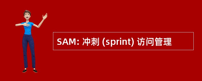 SAM: 冲刺 (sprint) 访问管理