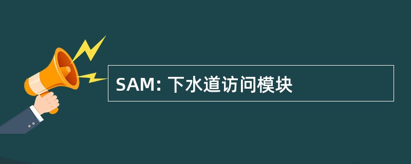 SAM: 下水道访问模块