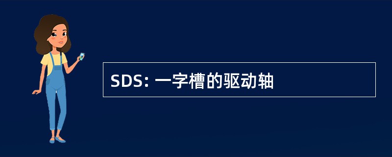 SDS: 一字槽的驱动轴