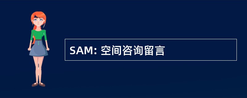 SAM: 空间咨询留言