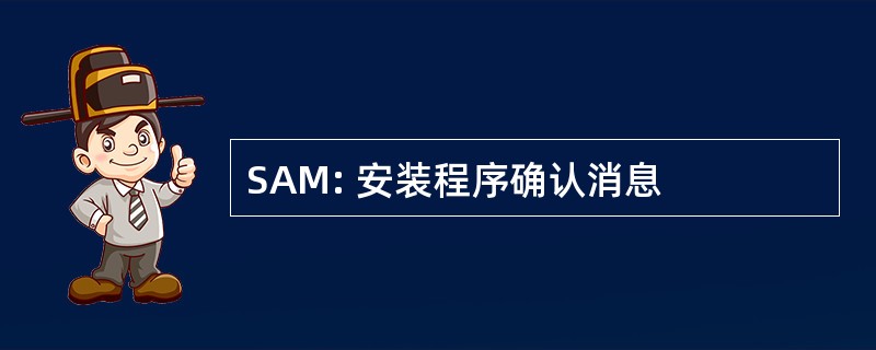 SAM: 安装程序确认消息