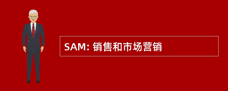 SAM: 销售和市场营销