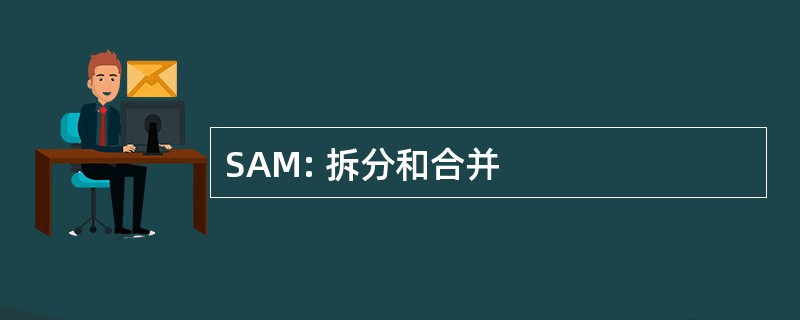 SAM: 拆分和合并