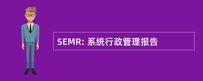 SEMR: 系统行政管理报告