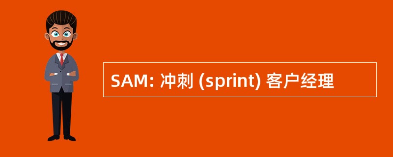 SAM: 冲刺 (sprint) 客户经理