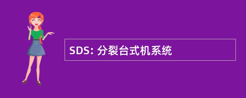 SDS: 分裂台式机系统