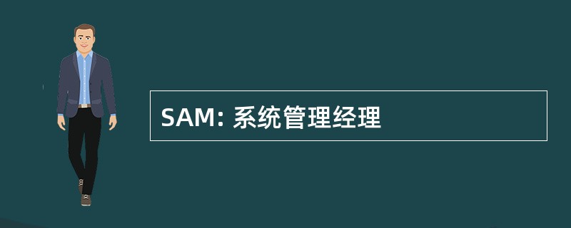 SAM: 系统管理经理