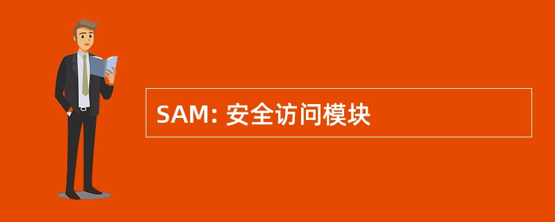 SAM: 安全访问模块