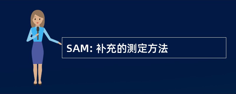 SAM: 补充的测定方法