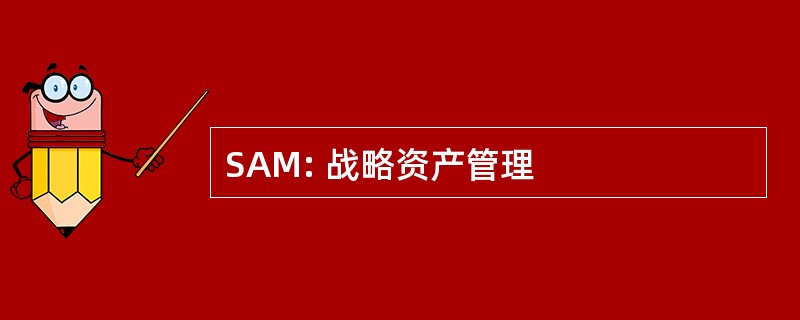 SAM: 战略资产管理