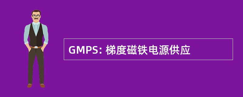 GMPS: 梯度磁铁电源供应