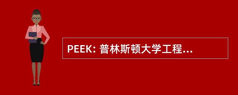 PEEK: 普林斯顿大学工程教育的孩子们