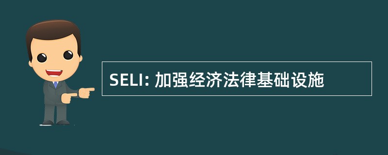 SELI: 加强经济法律基础设施