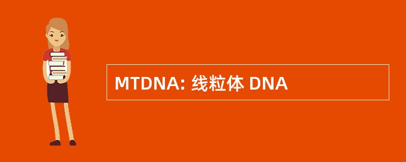 MTDNA: 线粒体 DNA