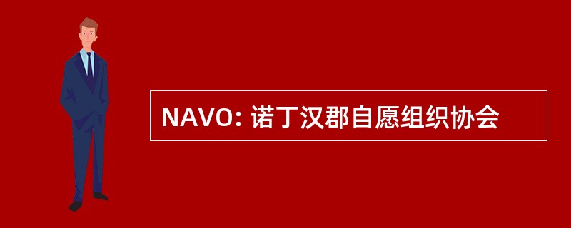 NAVO: 诺丁汉郡自愿组织协会