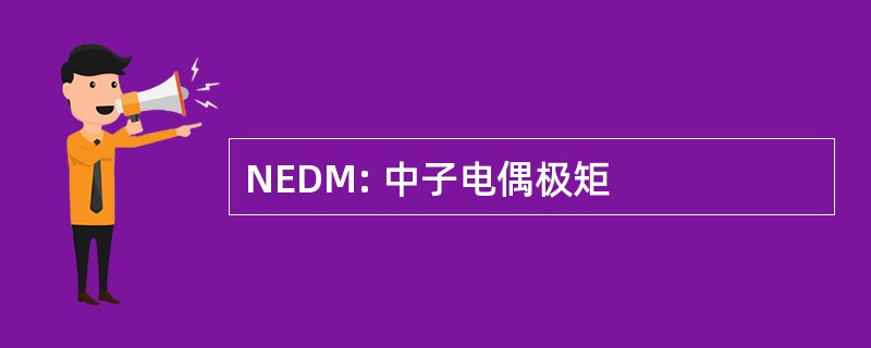 NEDM: 中子电偶极矩