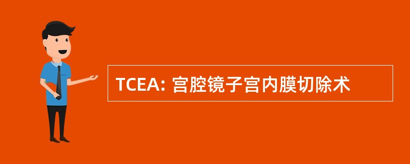 TCEA: 宫腔镜子宫内膜切除术