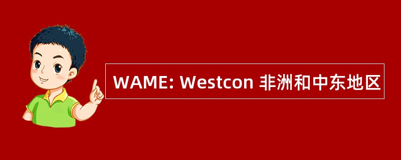 WAME: Westcon 非洲和中东地区