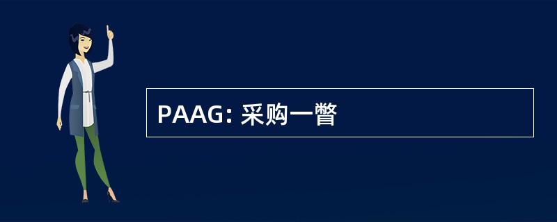 PAAG: 采购一瞥