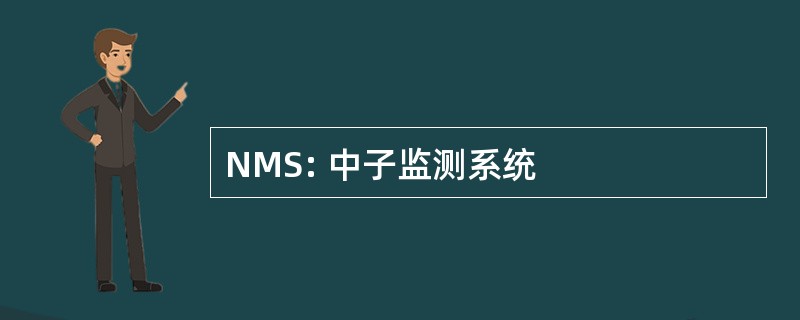 NMS: 中子监测系统