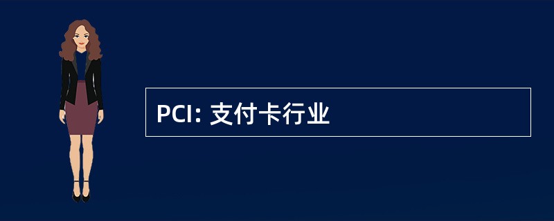 PCI: 支付卡行业