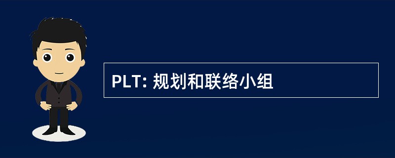 PLT: 规划和联络小组