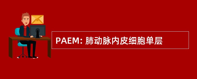 PAEM: 肺动脉内皮细胞单层