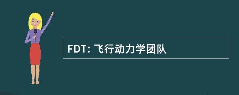 FDT: 飞行动力学团队