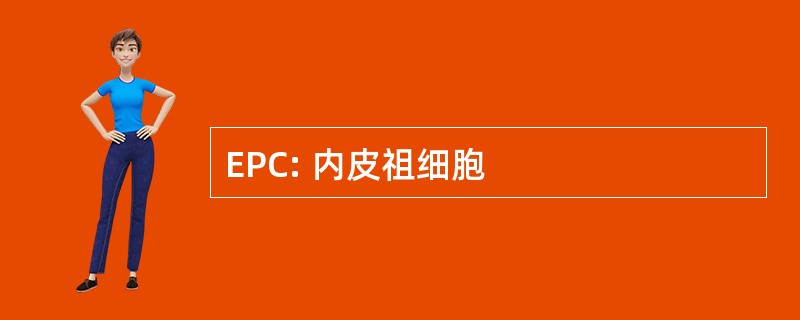 EPC: 内皮祖细胞