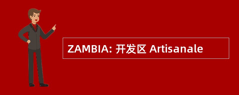 ZAMBIA: 开发区 Artisanale