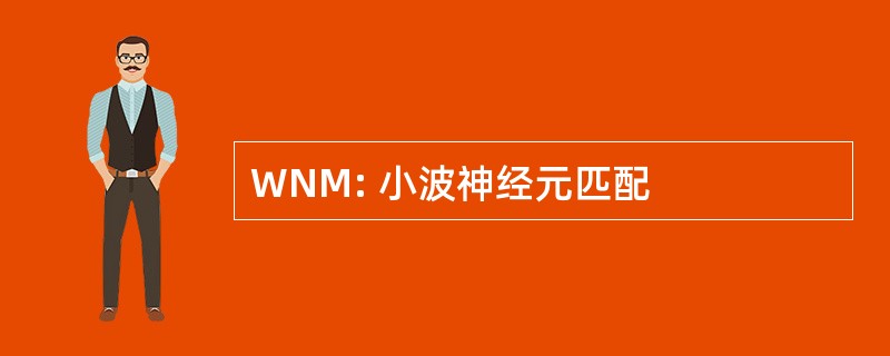 WNM: 小波神经元匹配