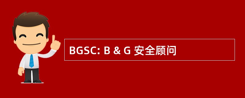 BGSC: B & G 安全顾问