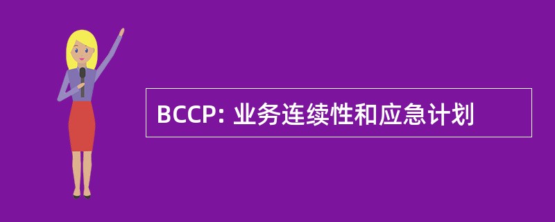 BCCP: 业务连续性和应急计划