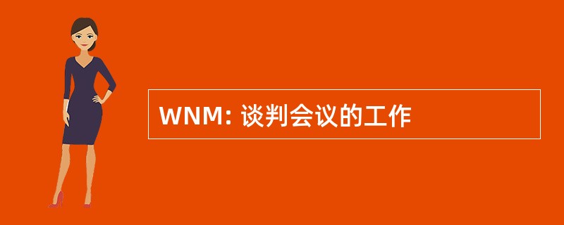 WNM: 谈判会议的工作