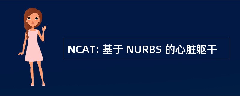 NCAT: 基于 NURBS 的心脏躯干