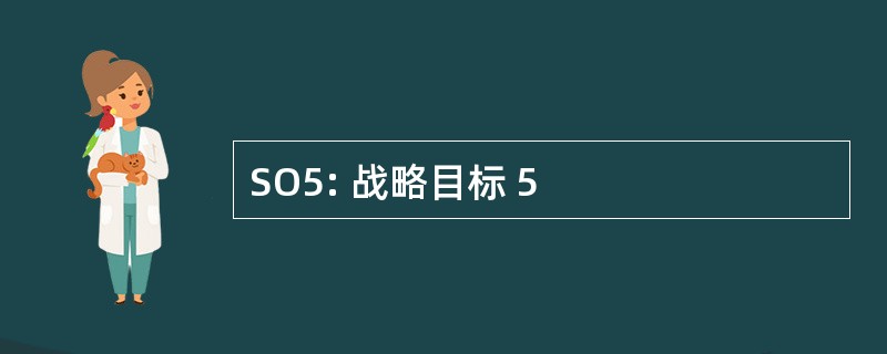 SO5: 战略目标 5