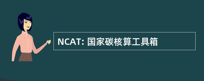 NCAT: 国家碳核算工具箱